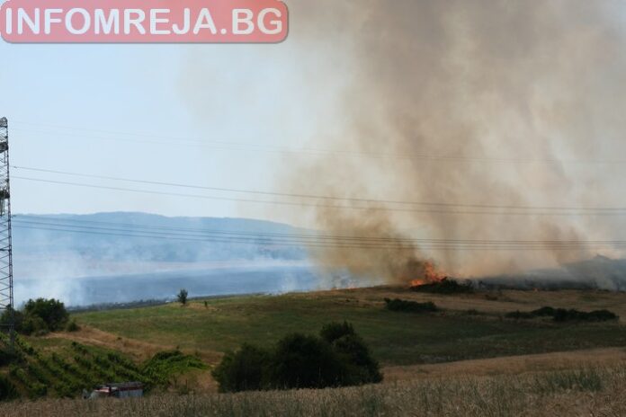 Голям пожар над Бучино. Горят ниви с жито