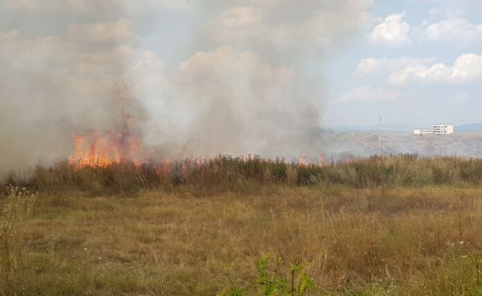 Горят сухи треви и храсти в района на животинския пазар в Кюстендил