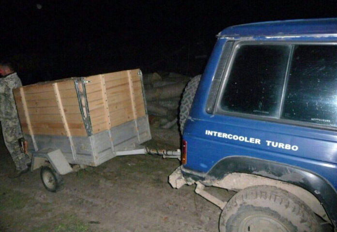 Горски и полицаи задържаха жена и двама мъже за незаконна сеч в Огражден