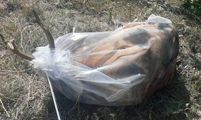 Горски издирват бракониери