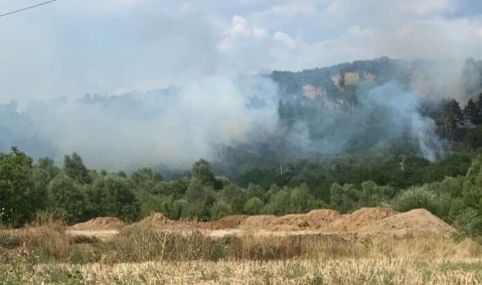 Горски на ЮЗДП и огнеборци гасят два нови пожара