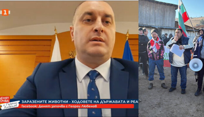 Има ли чума по овцете? България не признава отрицателните резултати на Гърция