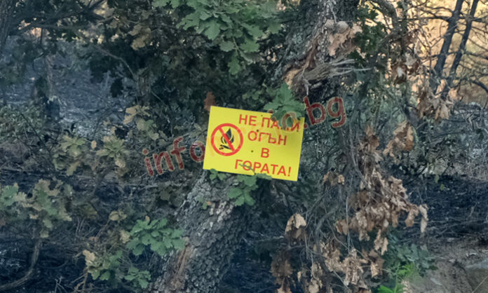 ЮЗДП ни учи как да пазим горите от пожари