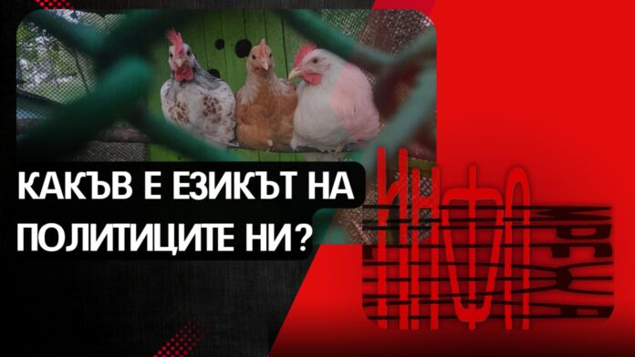 Как ни говорят политиците?