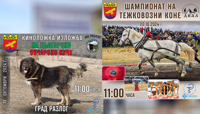 Киноложка изложба и шампионат на тежковозни коне предстоят в Разлог