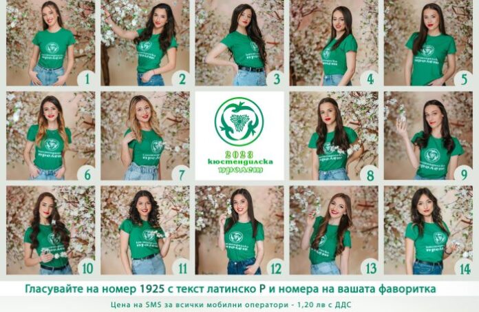 Кюстендил избира новата девойка „Кюстендилска пролет“