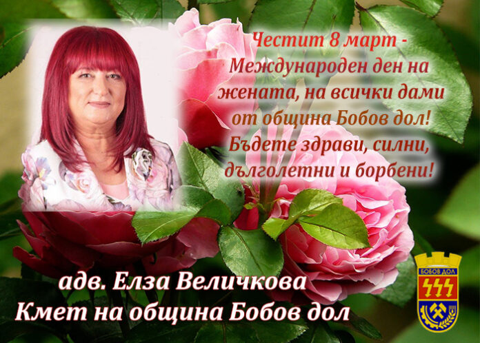 Кметът на Бобов дол