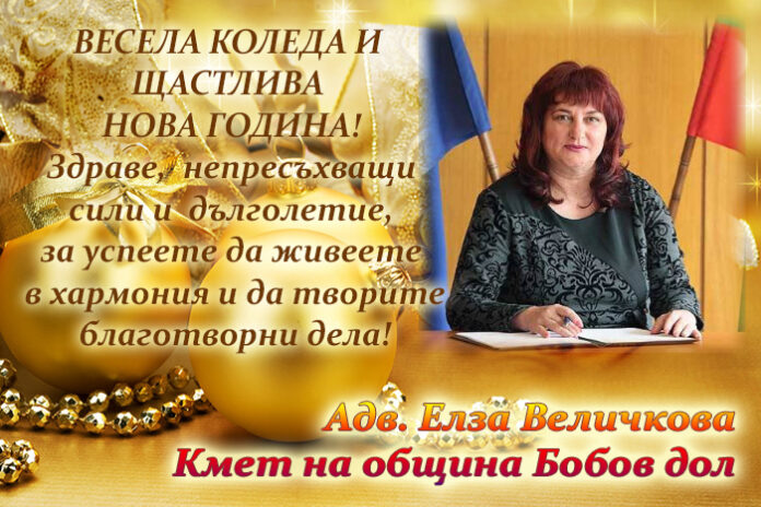 Кметът на Бобов дол