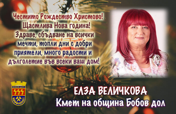 Кметът на Бобов дол