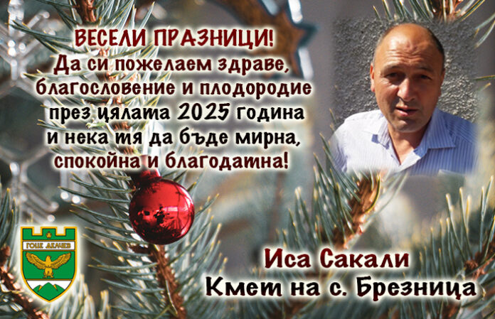 Кметът на Брезница