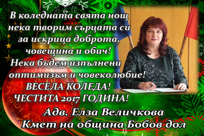 Кметът на община Бобов дол