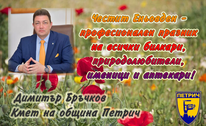 Кметът на Петрич