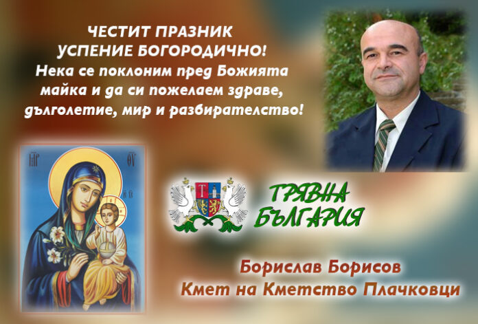 Кметът на Плачковци