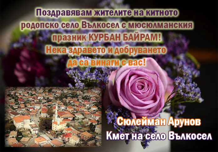 Кметът на село Вълкосел