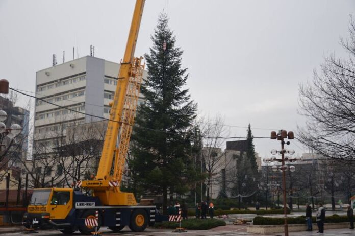 Коледната елха в Благоевград грейва на 3 декември