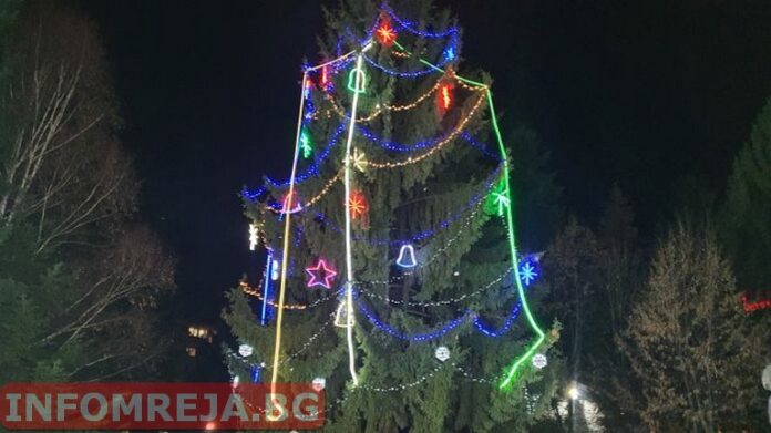 Коледно дърво засия в центъра на Гоце Делчев