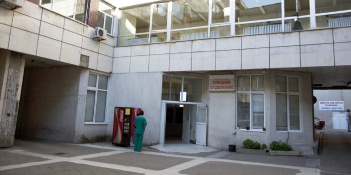 Куче на възпитателка захапа за главата 9-годишно момиче