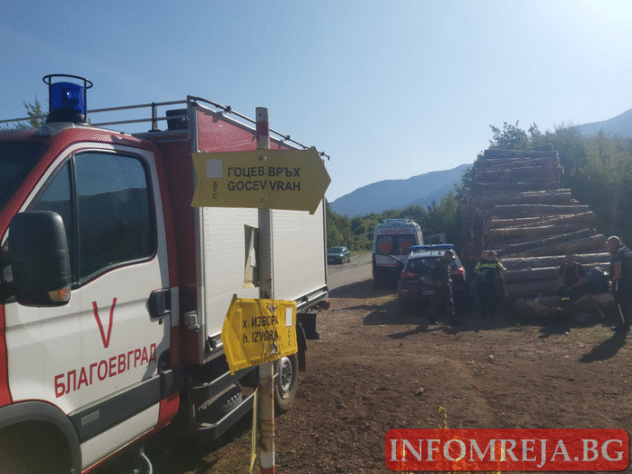 Кугар гаси на граничната ни бразда с Гърция