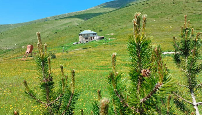 Курбан за здраве дават на хижа „Македония“