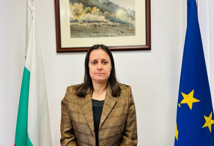 Лиляна Петрова оглави ДНСК