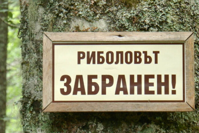 Любителски риболов в парк 