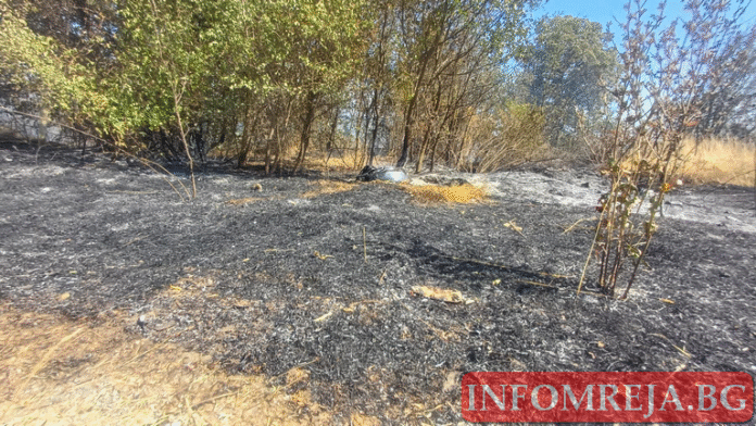 Локализираха пожара край Бобошево