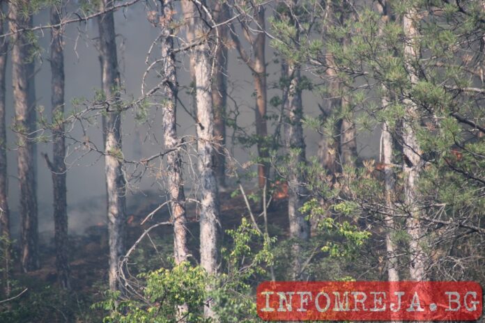Локализиран е големият пожар край Кърджали
