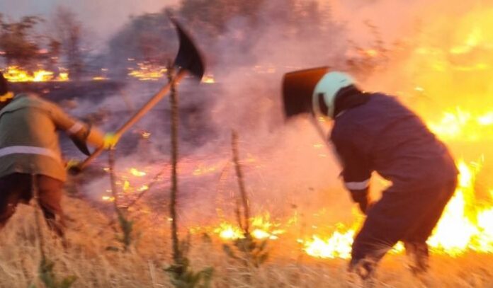 Локализиран е пожарът в село Априлци