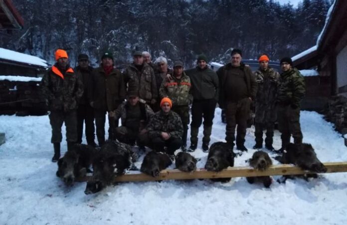 Ловната дружинка в Трекляно с рекорд! Отстреляха 7 диви прасета на последния за сезона лов
