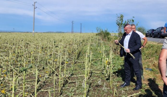 Министър Тахов: Държавата подпомага стопаните при застраховане на продукцията им