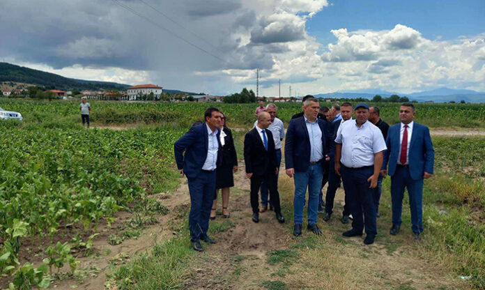 Министър Тахов обеща помощ на пострадалите от градушката в община Гърмен земеделци