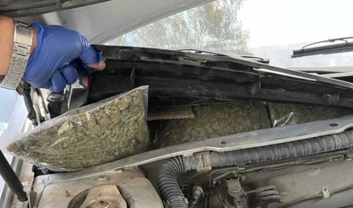 Митничари задържаха над 32 кг марихуана