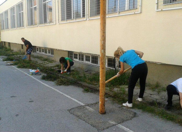 Младежите от ГЕРБ - Кюстендил с доброволческа акция за 15 септември