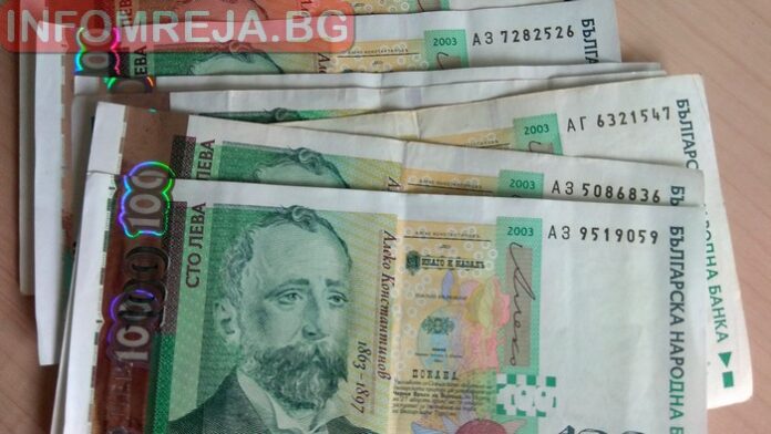 МОСВ изплати над 220 000 лева обезщетения за нанесени щети от вида кафява мечка