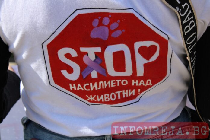 МС реши: Завишават наказанията за изтезания на животни