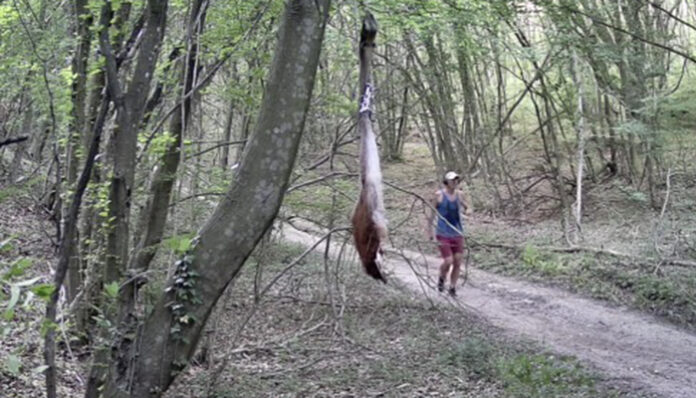 Мъж наруши заповедта