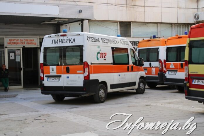 Мъж от Благоевград е ухапан от змия