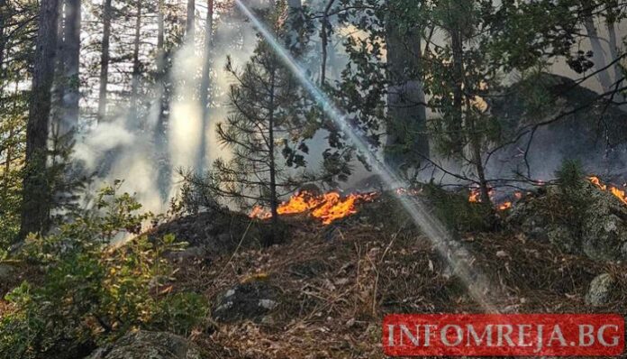 На 7-ия ден: Ликвидираха пожара край Църварица