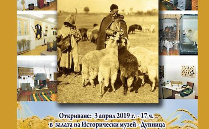 Националният земеделски музей с изложба за овцевъдството в Дупница