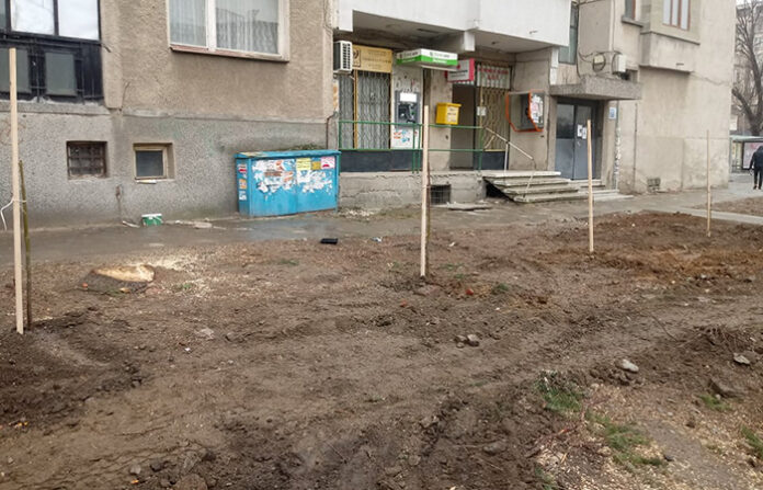 Над 100 дървета засаждат през пролетта и есента в Дупница