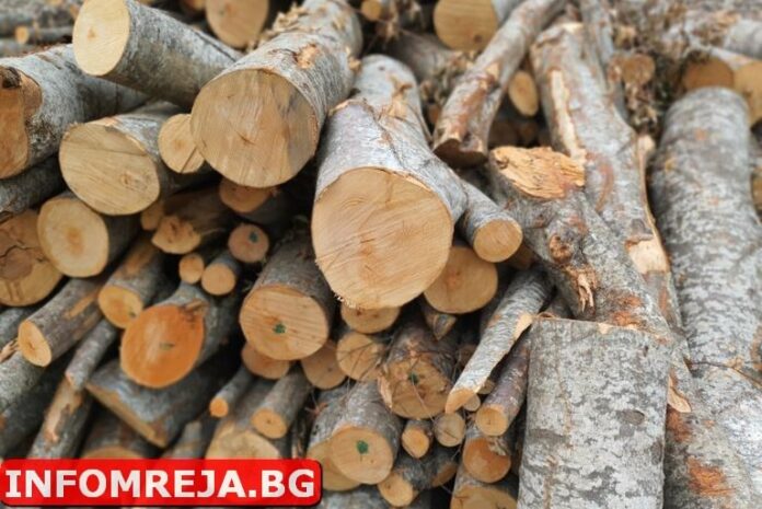 Незаконна сеч в Катарино