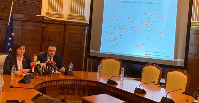 Нинова: Държавата ще продава дървата за огрев без посредници. Цената пада