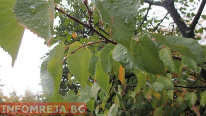 Облачно и дъждовно време