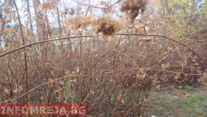 Облачно време днес