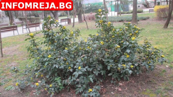 Облачността намалява до слънчево време