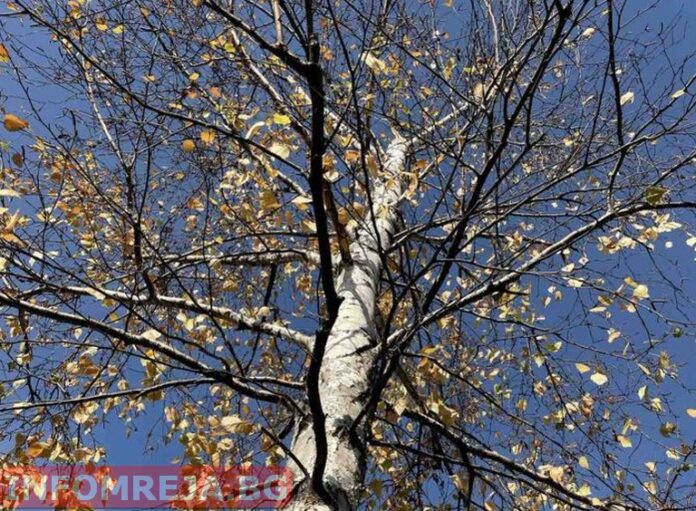 Облачността се разкъсва
