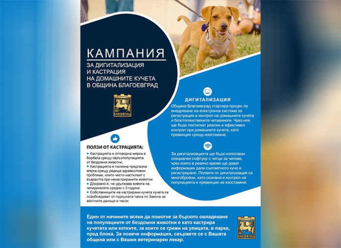 Образователни медиатори и доброволци преброяват кучетата в ромската махала на Благоевград