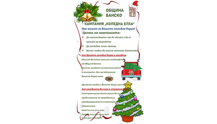 Община Банско дава нов живот на коледните дръвчета