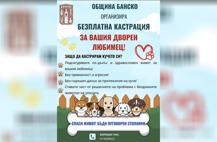 Община Банско отново с кампания за безплатна кастрация на кучета