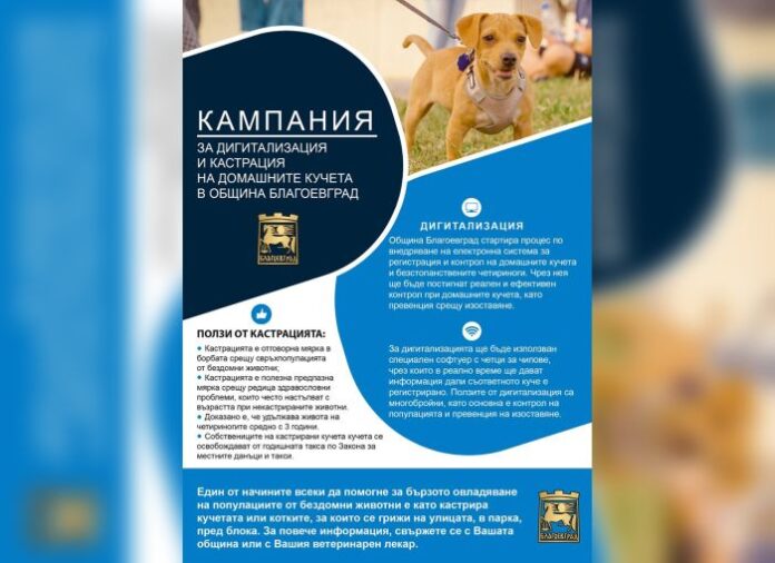 Община Благоевград стартира кампания за преброяване на кучета